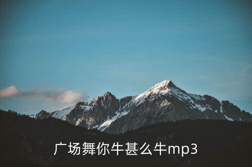 广场舞你牛甚么牛mp3