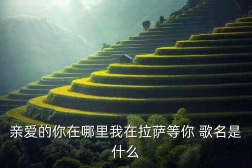 亲爱的你在哪里我在拉萨等你 歌名是什么