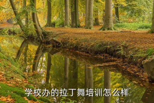 学校办的拉丁舞培训怎么样