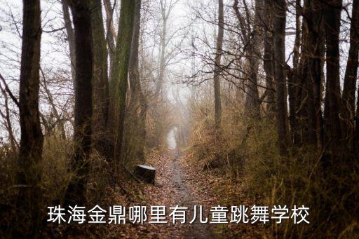 珠海金鼎哪里有儿童跳舞学校