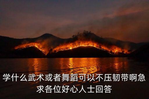 学什么武术或者舞蹈可以不压韧带啊急求各位好心人士回答