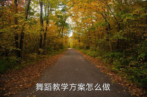 舞蹈教学方案怎么做