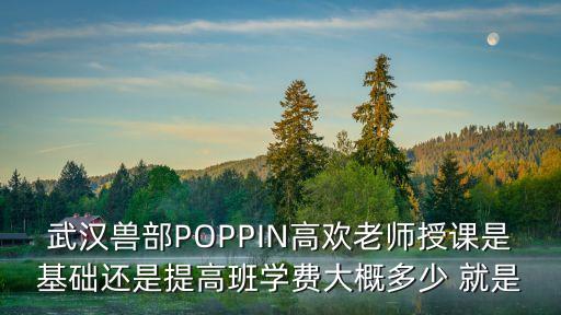 poppin 多少钱，在惠州找老师学POPING要多少钱