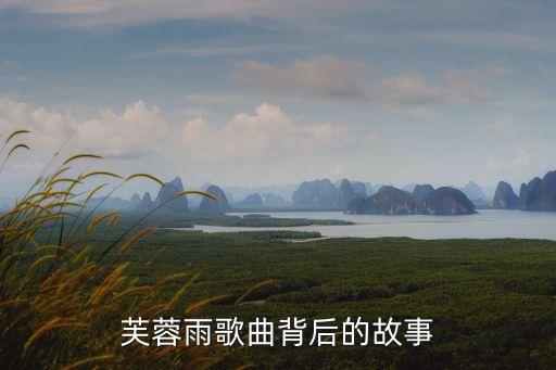 芙蓉雨歌曲背后的故事