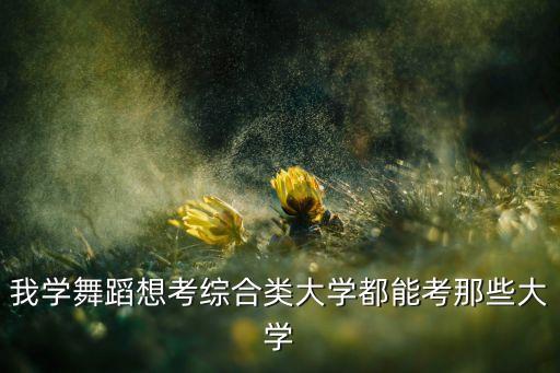 我学舞蹈想考综合类大学都能考那些大学