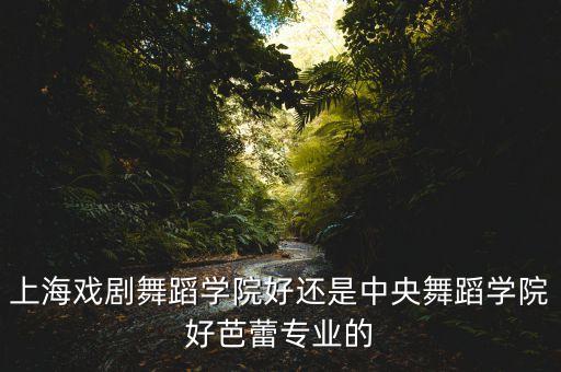 上海戏剧舞蹈学院好还是中央舞蹈学院好芭蕾专业的