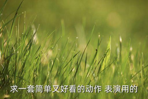求一套简单又好看的动作 表演用的