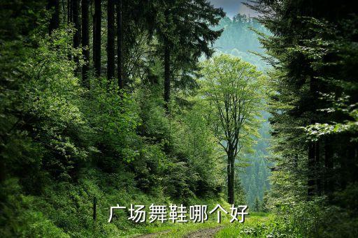广场舞鞋哪个好