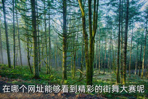 在哪个网址能够看到精彩的街舞大赛呢