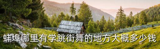 蚌埠哪里有学跳街舞的地方大概多少钱