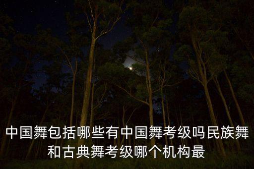 中国舞包括哪些有中国舞考级吗民族舞和古典舞考级哪个机构最
