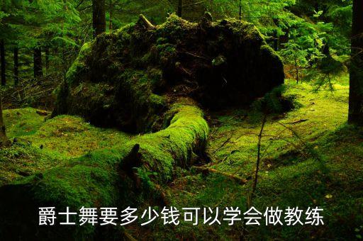 爵士舞要多少钱可以学会做教练