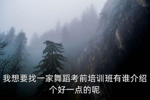 我想要找一家舞蹈考前培训班有谁介绍个好一点的呢