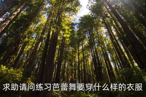 求助请问练习芭蕾舞要穿什么样的衣服