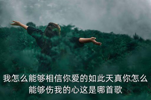 我怎么能够相信你爱的如此天真你怎么能够伤我的心这是哪首歌