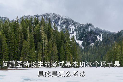 问舞蹈特长生的考试基本功这个环节是具体是怎么考法