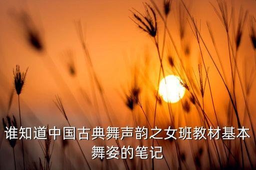 谁知道中国古典舞声韵之女班教材基本舞姿的笔记