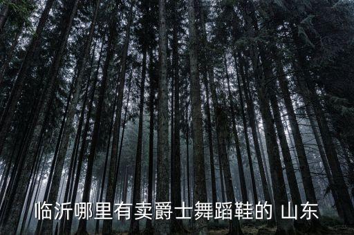 临沂哪里卖舞鞋滴，临沂哪里有卖爵士舞蹈鞋的 山东