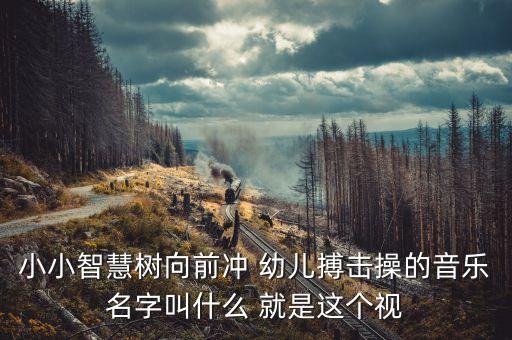 小小智慧树向前冲 幼儿搏击操的音乐名字叫什么 就是这个视