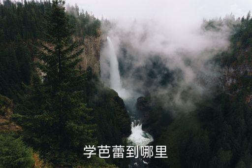 学芭蕾到哪里