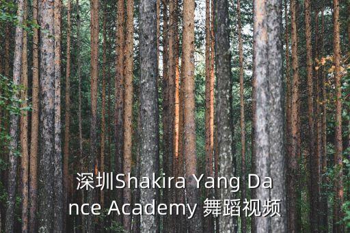 深圳Shakira Yang Dance Academy 舞蹈视频