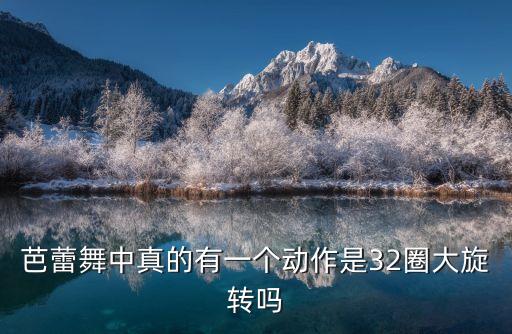 芭蕾舞演员旋转多少圈，1 跳芭蕾舞的单脚用脚尖转最多能转多少圈
