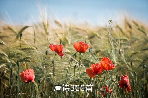 唐诗300首
