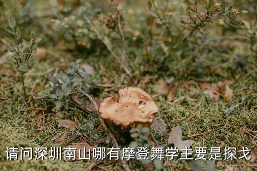 请问深圳南山哪有摩登舞学主要是探戈