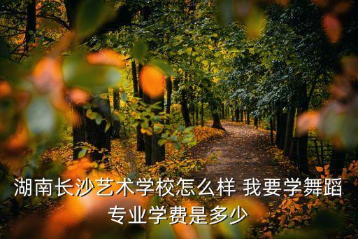 湖南长沙艺术学校怎么样 我要学舞蹈专业学费是多少