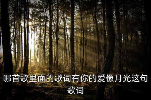 你的爱像月光是什么歌曲，哪首歌里面的歌词有你的爱像月光这句歌词