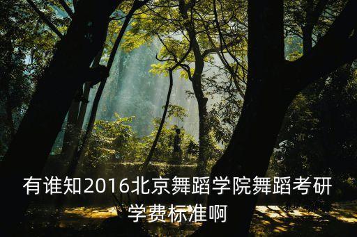 有谁知2016北京舞蹈学院舞蹈考研学费标准啊