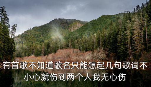 有首歌不知道歌名只能想起几句歌词不小心就伤到两个人我无心伤