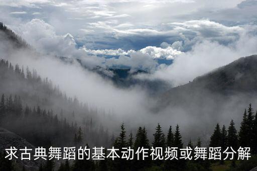 求古典舞蹈的基本动作视频或舞蹈分解