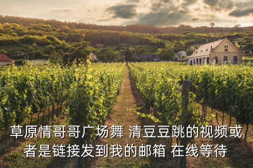 草原情哥哥广场舞 清豆豆跳的视频或者是链接发到我的邮箱 在线等待