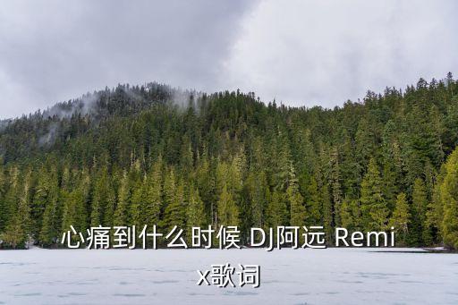 心痛到什么时候 DJ阿远 Remix歌词
