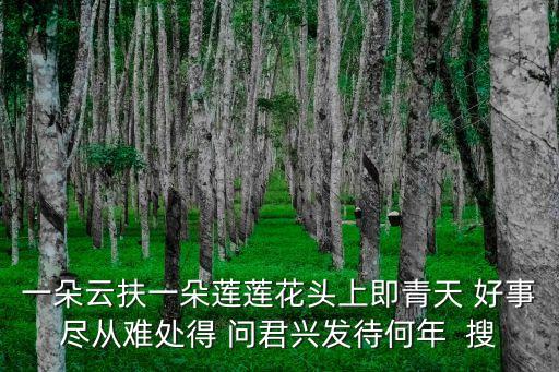 一朵莲下一句是什么，一朵云扶一朵莲莲花头上即青天 好事尽从难处得 问君兴发待何年  搜