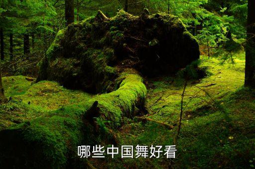 好看的舞蹈视频中国舞完整版，古典舞 欢快的民族舞 好学 好看 求推荐
