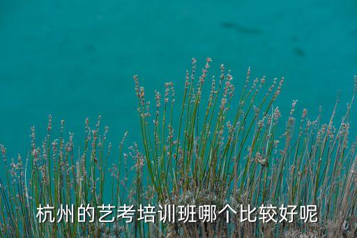 浙江艺考培训哪家最好，杭州的艺考培训班哪个比较好呢