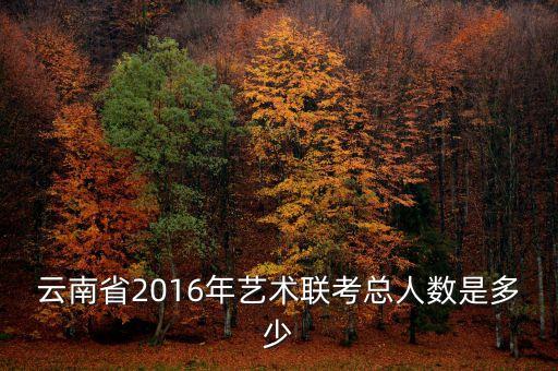 云南省2016年艺术联考总人数是多少