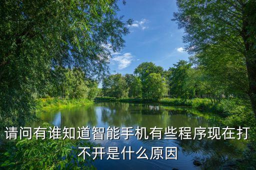 请问有谁知道智能手机有些程序现在打不开是什么原因