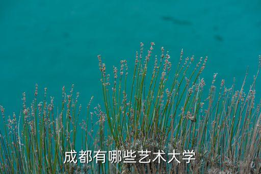 成都公办艺术学校有哪些，成都有哪些艺术大学