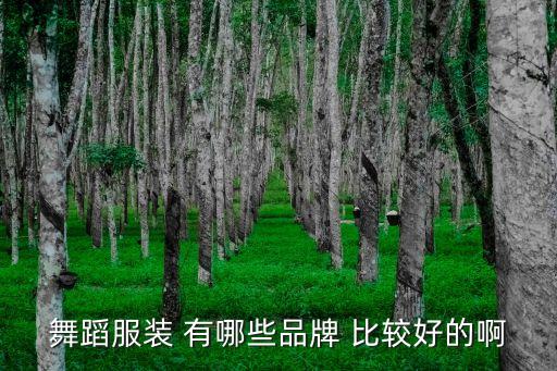 舞蹈服装新款女装上衣，舞蹈服装 有哪些品牌 比较好的啊