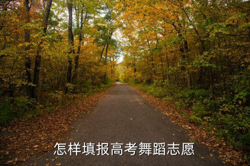 舞蹈艺考生志愿填报实例，怎样填报高考舞蹈志愿