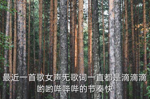 小鸡小鸡你在哪里，小鸡啄米用先再然后写一句话