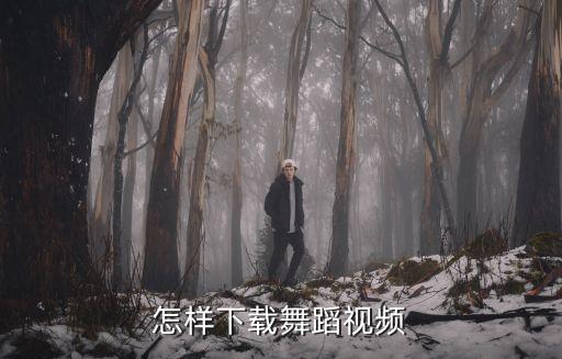跳舞视频下载安装，舞蹈视频从哪个网站下载最好最清楚