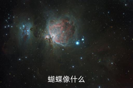 蝴蝶怎么飞像什么，蝴蝶是怎么飞