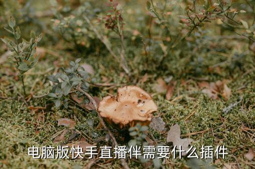 快手直播伴侣官方版下载，下载到最新版