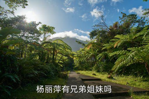 杨丽萍有兄弟姐妹吗