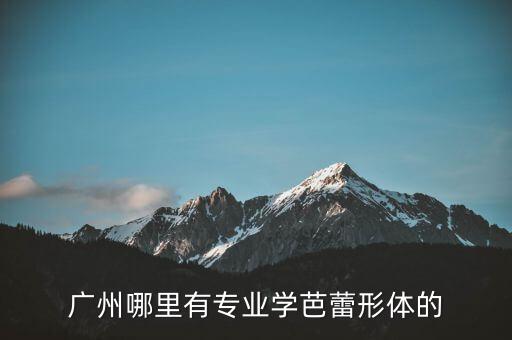 广州哪里有专业学芭蕾形体的