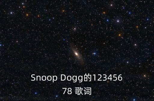 Snoop Dogg的12345678 歌词
